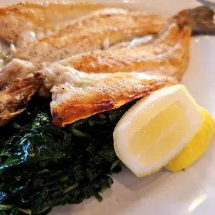 Branzino with sauteed spinach - angle two