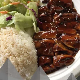 Chicken teriyaki for $8.99 (has a snapchat filter because it was worth posting)