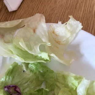 This lettuce should never have left the kitchen.