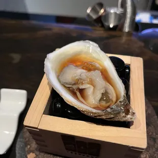 oysters, oysters and mussels, food, mussels, shellfish