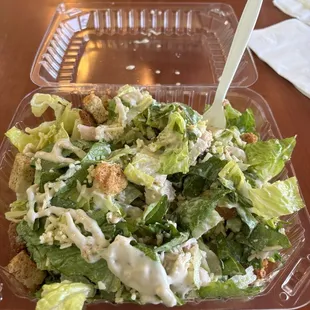 Chicken Caesar Salad