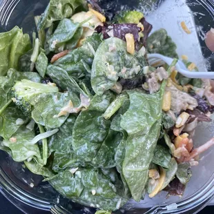 Full creation spring mix, tuna, carrots, broccoli, mushrooms, cheddar cheese, cranberries, Caesar dressing. Yum!