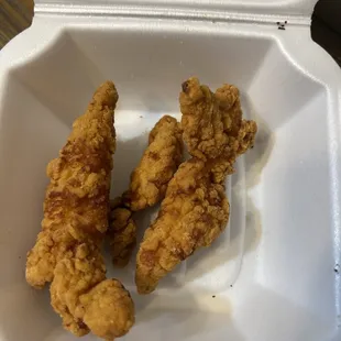 2 Kids Chicken Strips