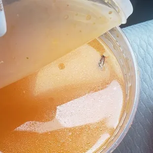 There was a insect in my  16 oz. Fideo Soup bad service and not Sanitized