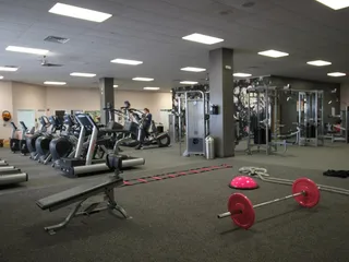 Blush Fitness