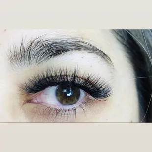 Lashes
