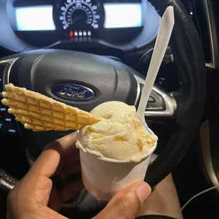 Rum Raisin ice cream with a waffle wafer