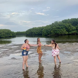 Sandbar!