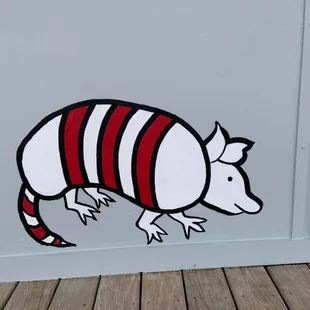 Texas armadillo!