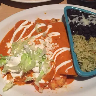 Shrimp Enchiladas
