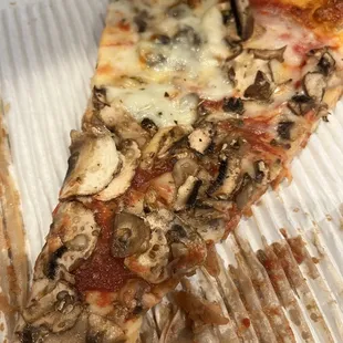 Extra cheese and mushrooms large