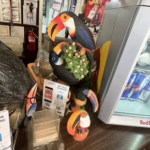a toucan and a toucan
