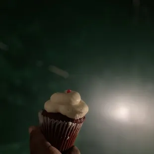 Premium Boxed Cupcake