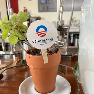 a plant clipping from the Obama&apos;s when they left office