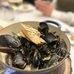 Mussels in a beautiful sauce!