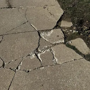 cart path between six and seven