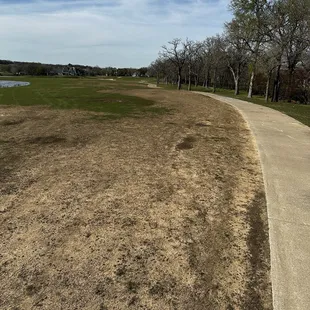 hole seven tee boxes