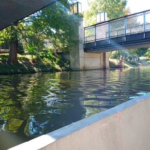 New Orleans City Park Sculpture Garden
 (Tours by Isabelle | October 2022 | Guide: Steve)