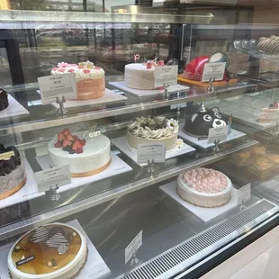 sushi, food, sashimi, sushi and sashimi