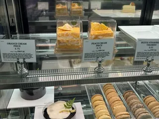 Tous Les Jours Novi - Coming Soon