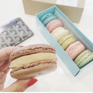 a hand holding a macaron