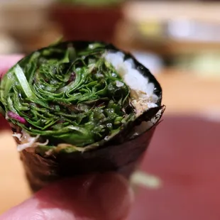food, sushi, sushi and sashimi, sashimi
