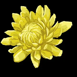 Deborah G.