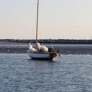 This sailing vessel was stranded near Richmond on a falling tide. We went back later and assisted them back to their slip.