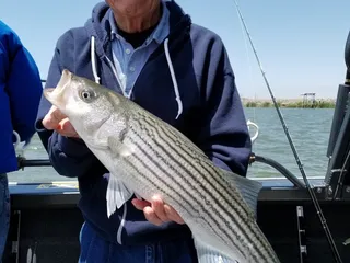 Soo Hoo Sportfishing