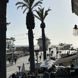 View from Tower 12