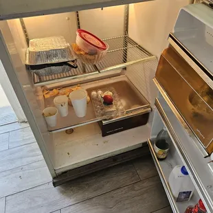 Bugs in fridge disgusting dirty