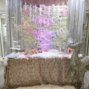 Winter Onederland First birthday party