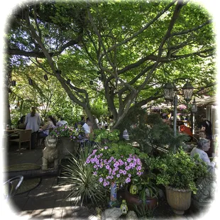 Our Award winning outside patio