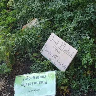 Pinch some off, nice.