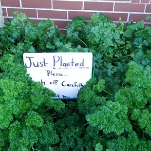 Next to the front door.