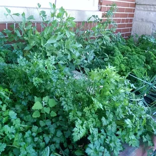 Next to the front door.