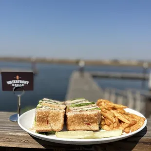 a plate of sandwiches and french fries
