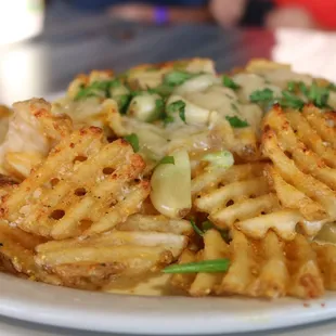 Parmesan Garlic Fries