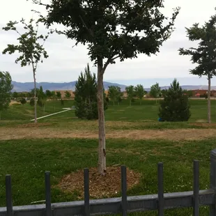 Park