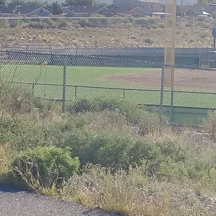 The 2nd baseball Field