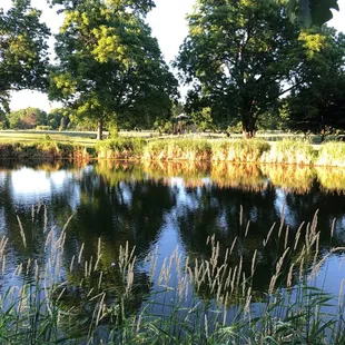 Pond and playground in the background.