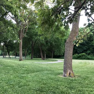 Picnic tables throughout along with benches