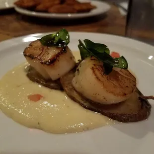 Scallops