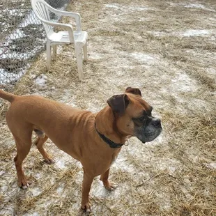 Duke