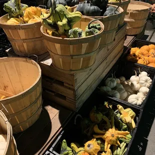 a variety of vegetables