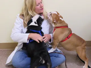 Best Pets Animal Clinic