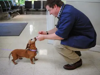 Nicholasville Road Animal Hospital