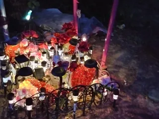 Tecumseh Veterinary Clinic