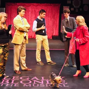 Elle arrives at Harvard, in &quot;Legally Blonde: the Musical&quot; in summer 2014