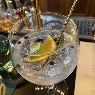 Gin and tonic, with citrus